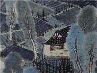 周菁：不画山不画水只画自己