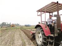 郑坚烽：“做一个既懂技术又懂市场的职业农民！”