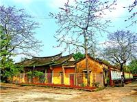 【潮汕文化】潮汕听涛：300年祠堂藏隆都“深闺”