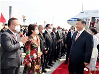 中国国家主席习近平访问泰国，泰华侨界代表谢国民、李桂雄、林楚钦、李嘉淳、张楚雄等参加接机仪式