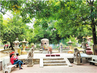 建于唐代，潮阳这座墓塔历经千年保存完好且造型独特，并见证了韩愈与大颠的文化交往