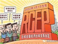 国际潮青联合会永远会长李桂雄等海外华商看好RCEP发展机遇
