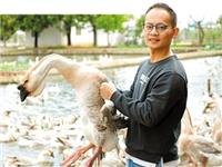 潮汕90后辞职返乡投身狮头鹅产业，蝉联两届“鹅王”，带动周边群众脱贫致富！