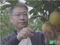 曾从医6年的潮商黄俊辉，缔造了​“果蔬行业第一股”