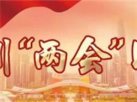 【国际潮青】为深圳发展出谋划策！马少福、陈国雄、陈镇文、赖俊霖等出席“两会”