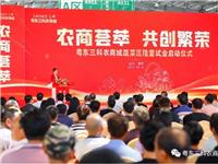 深圳海岸集团联合打造的粤东三科农商城蔬菜区成功试业